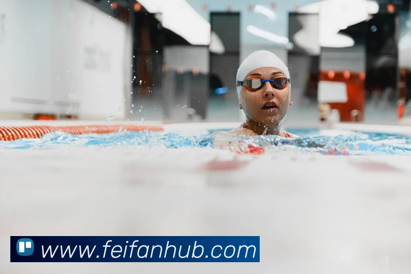 App Interface Preview