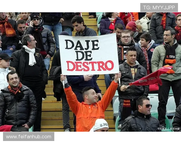 德甲球队降级球迷：降级带来的影响与球迷反应